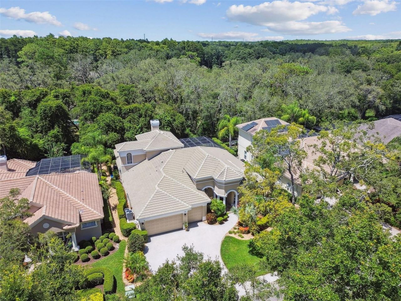 2935 Grey Oaks Boulevard, Tarpon Springs, FL 34688 Photo