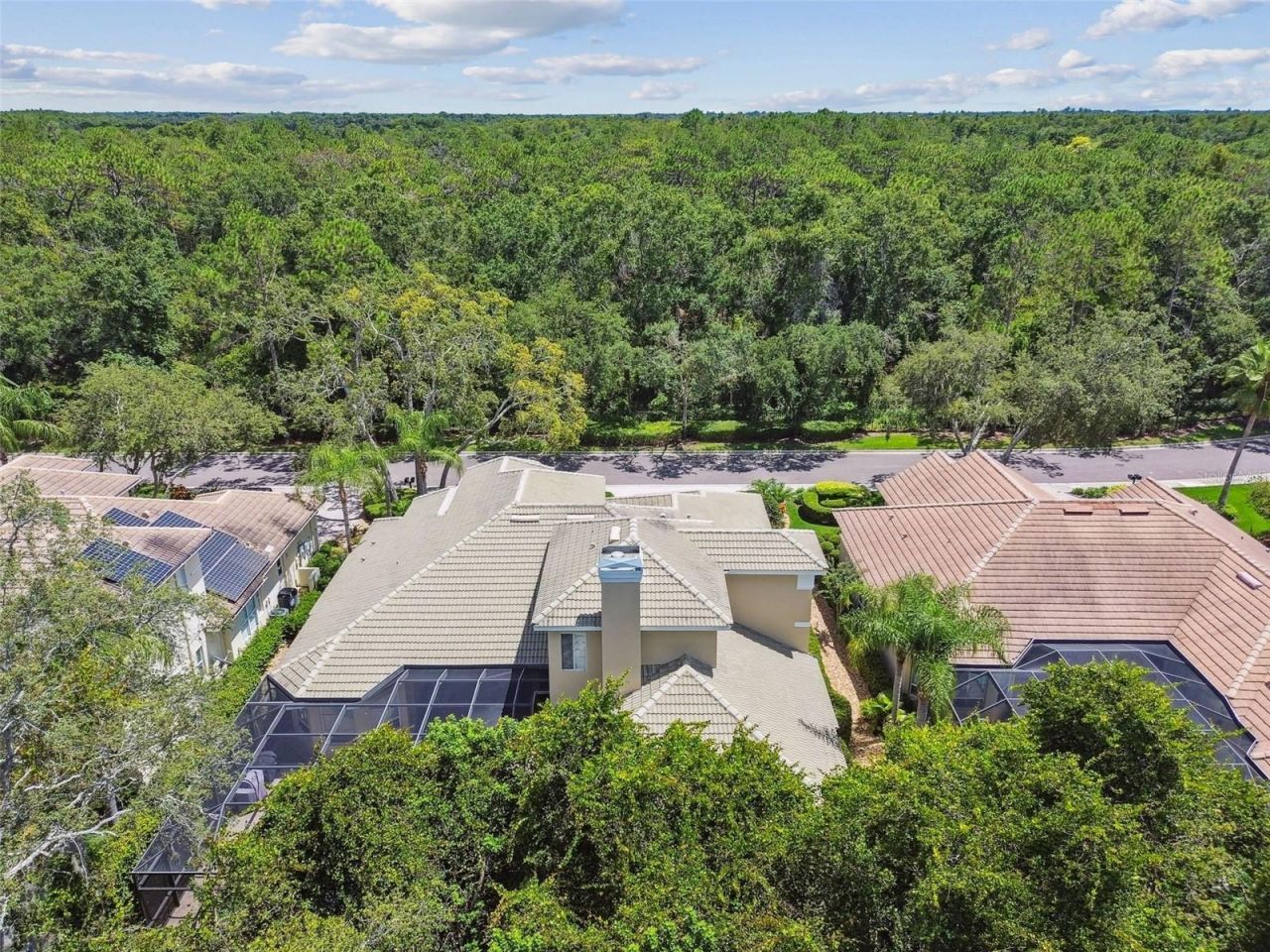 2935 Grey Oaks Boulevard, Tarpon Springs, FL 34688 Photo