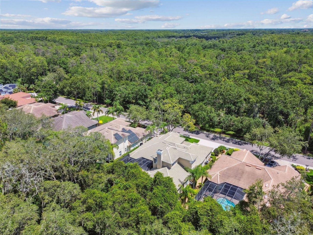 2935 Grey Oaks Boulevard, Tarpon Springs, FL 34688 Photo