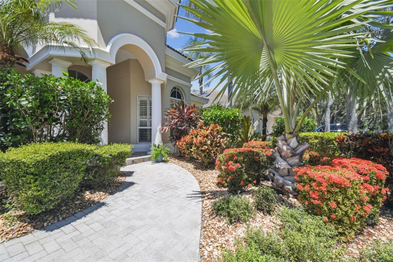 2935 Grey Oaks Boulevard, Tarpon Springs, FL 34688 Photo