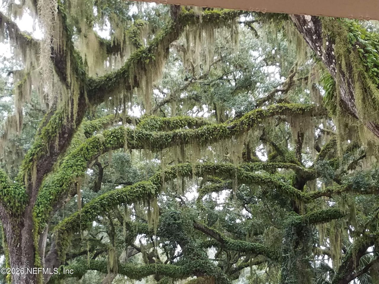 8349 Kim Road, Jacksonville, FL 32217 Photo