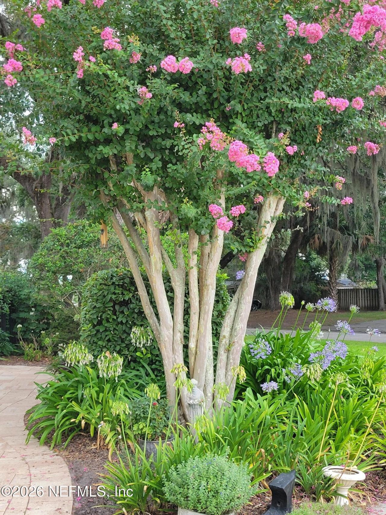 8349 Kim Road, Jacksonville, FL 32217 Photo