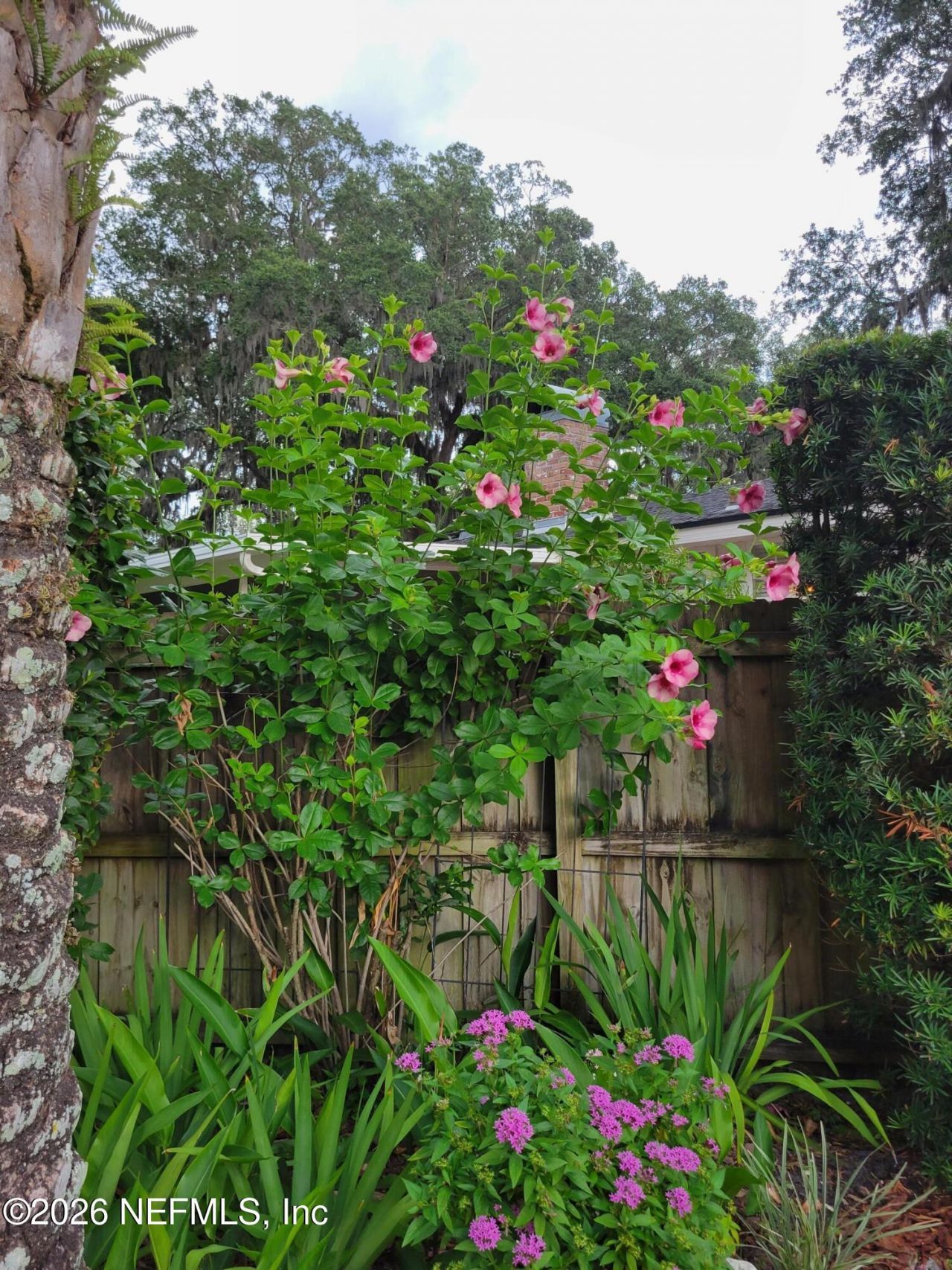 8349 Kim Road, Jacksonville, FL 32217 Photo