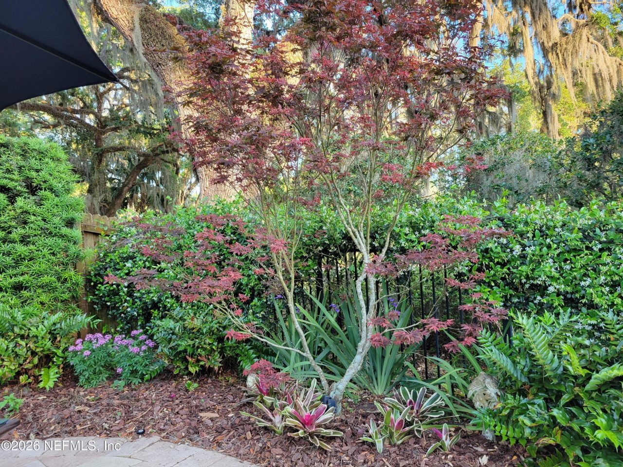 8349 Kim Road, Jacksonville, FL 32217 Photo