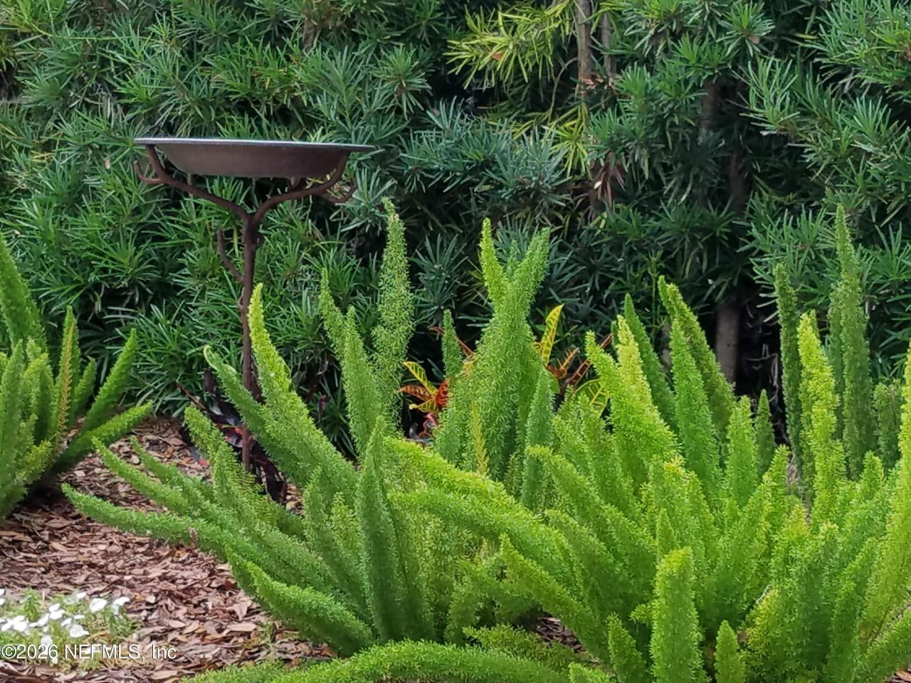 8349 Kim Road, Jacksonville, FL 32217 Photo