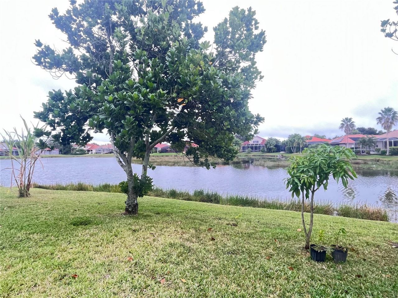 6139 46th Street E, Bradenton, FL 34203 Photo