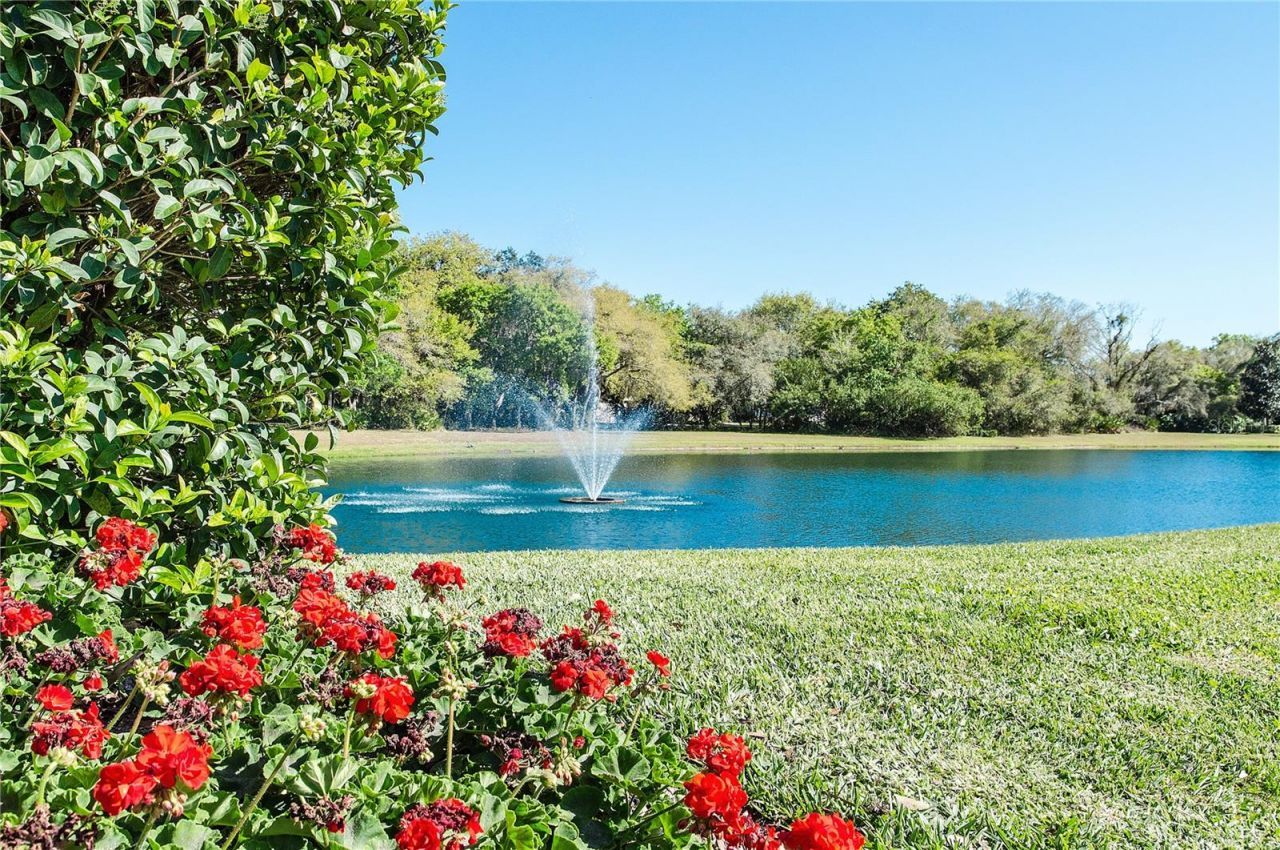 3002 Wilderness Boulevard W, Parrish, FL 34219 Photo