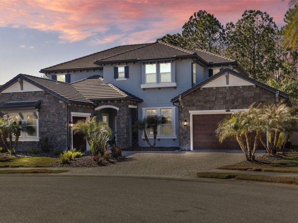 28787 CORBARA PLACE, WESLEY CHAPEL, FL 33543