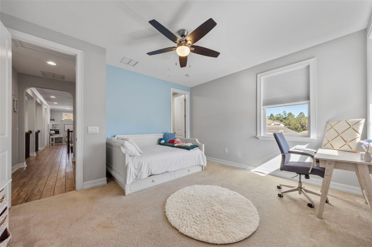 28787 Corbara Place, Wesley Chapel, FL 33543 Photo