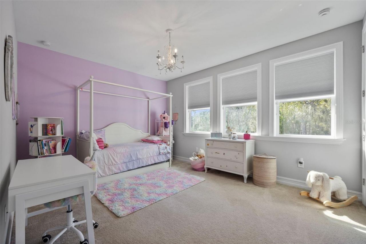 28787 Corbara Place, Wesley Chapel, FL 33543 Photo