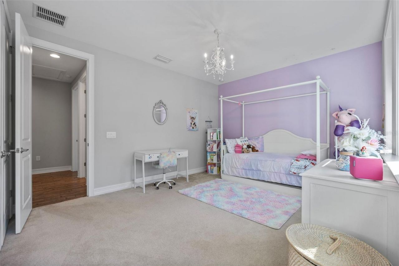 28787 Corbara Place, Wesley Chapel, FL 33543 Photo