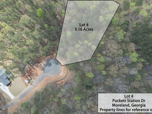 LOT 4 Puckett Station No Street Suffix, Moreland, GA 30259