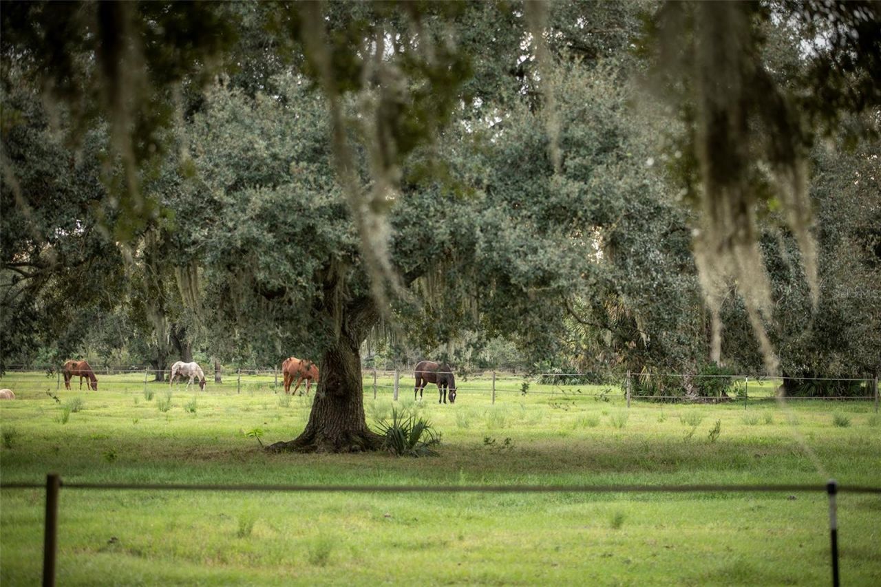 32801 Hwy 441 N, Lot #30, Okeechobee, FL 34972 Photo