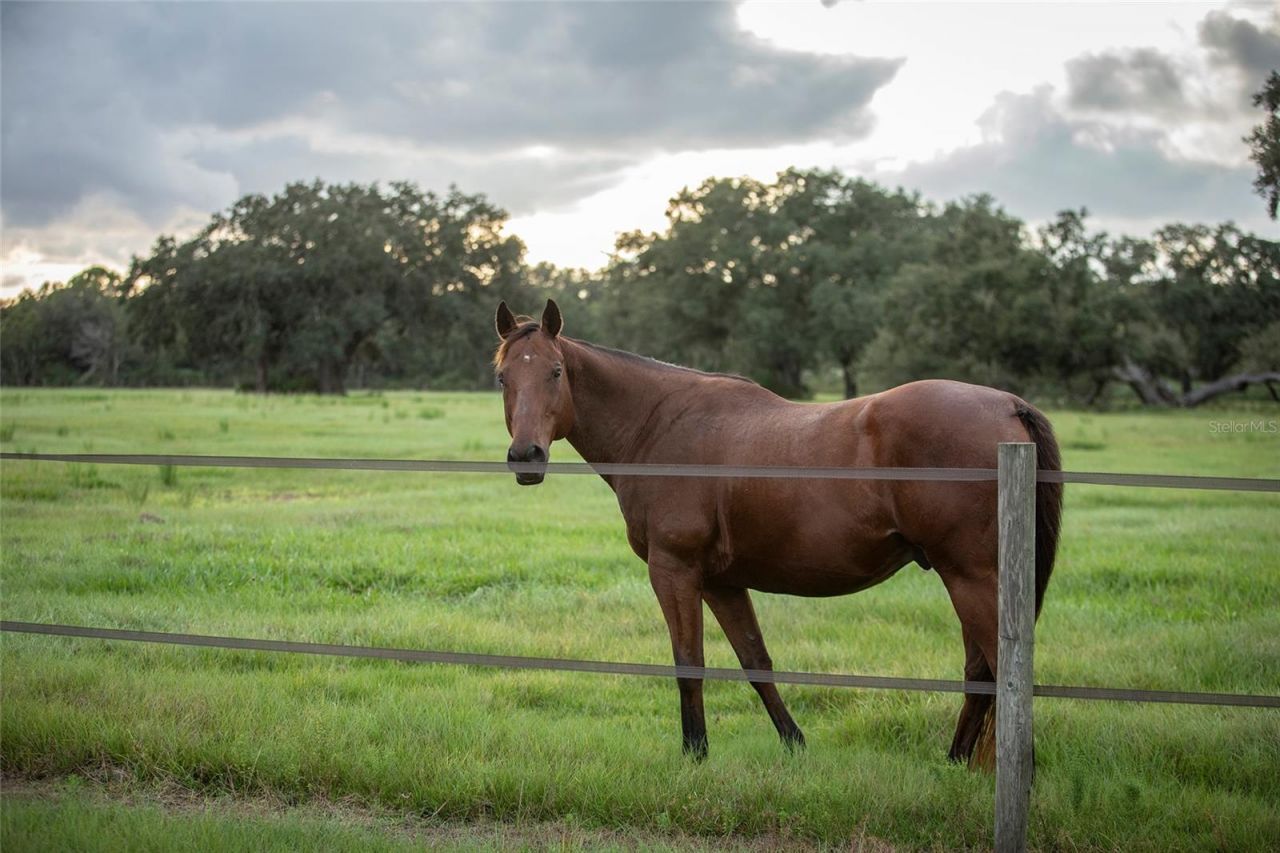 32801 Hwy 441 N, Lot #30, Okeechobee, FL 34972 Photo