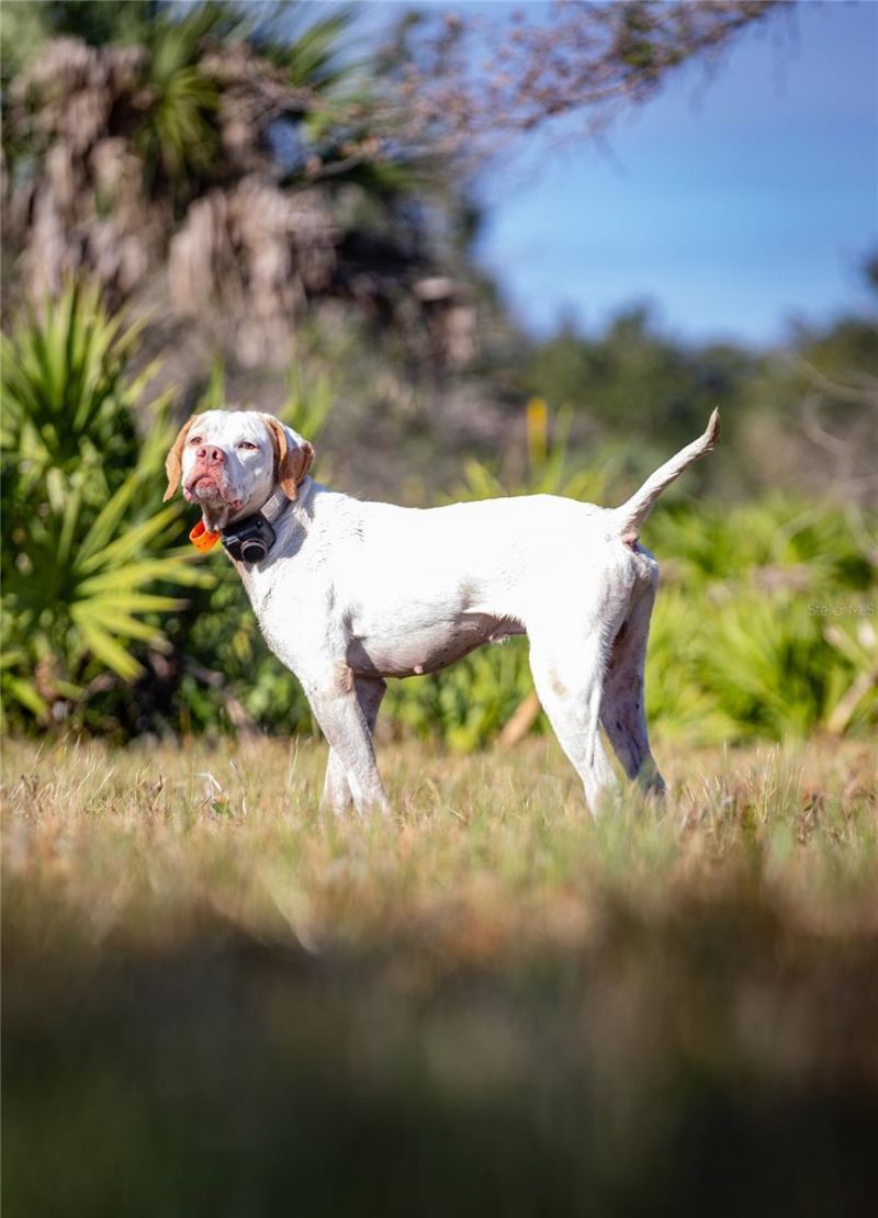 32801 Hwy 441 N, Lot #30, Okeechobee, FL 34972 Photo