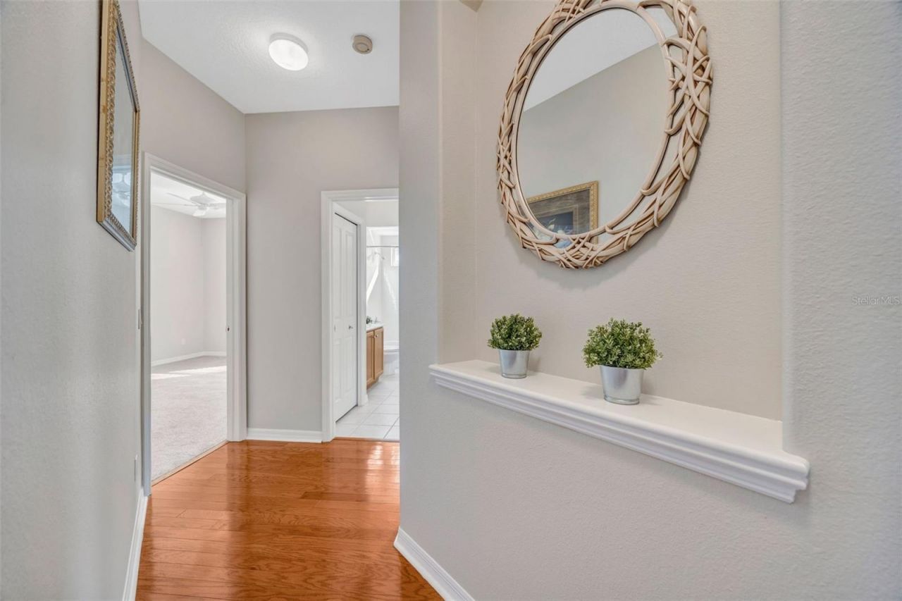 5802 Peach Heather Trail, Valrico, FL 33596 Photo