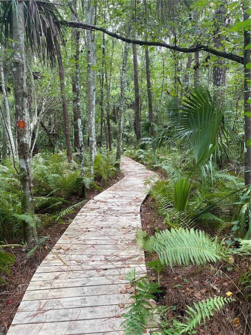 5802 Peach Heather Trail, Valrico, FL 33596 Photo