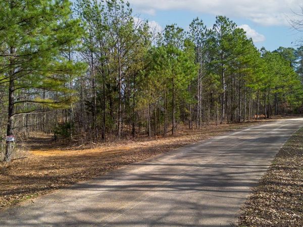 1 Olde Tennessee Trail , Springville, TN 38256