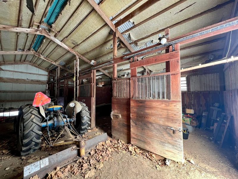 25183 New Guilford Road, Martinsburg, OH 43037 Photo 11