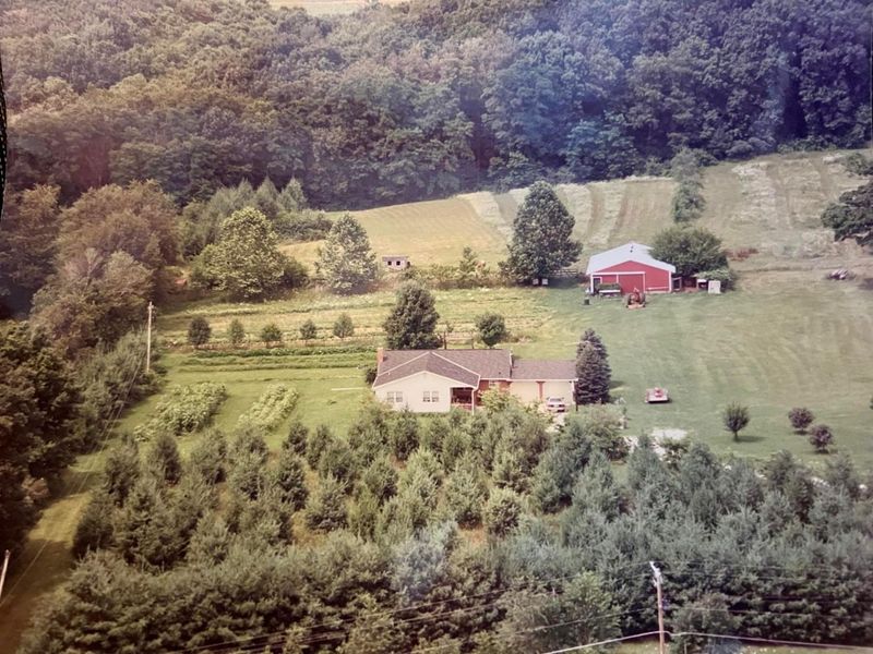 25183 New Guilford Road, Martinsburg, OH 43037 Photo 2