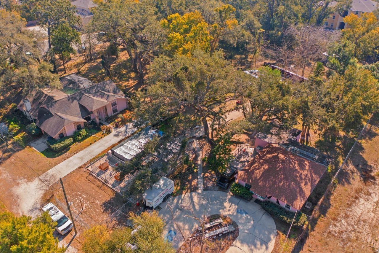 2501 E Diana Street, Tampa, FL 33610 Photo