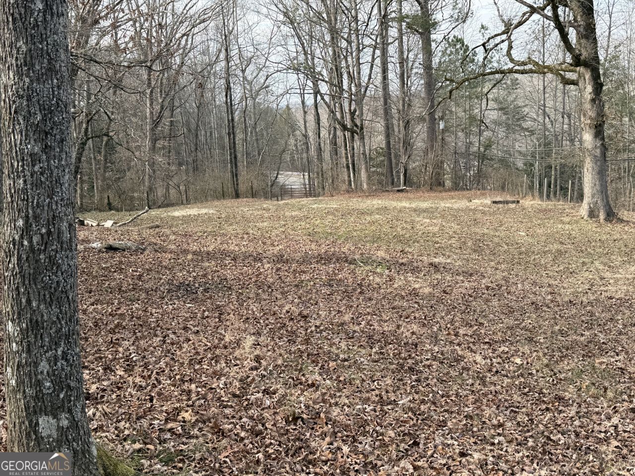 4445 Talking Rock Road, Talking Rock, GA 30175 Main Photo