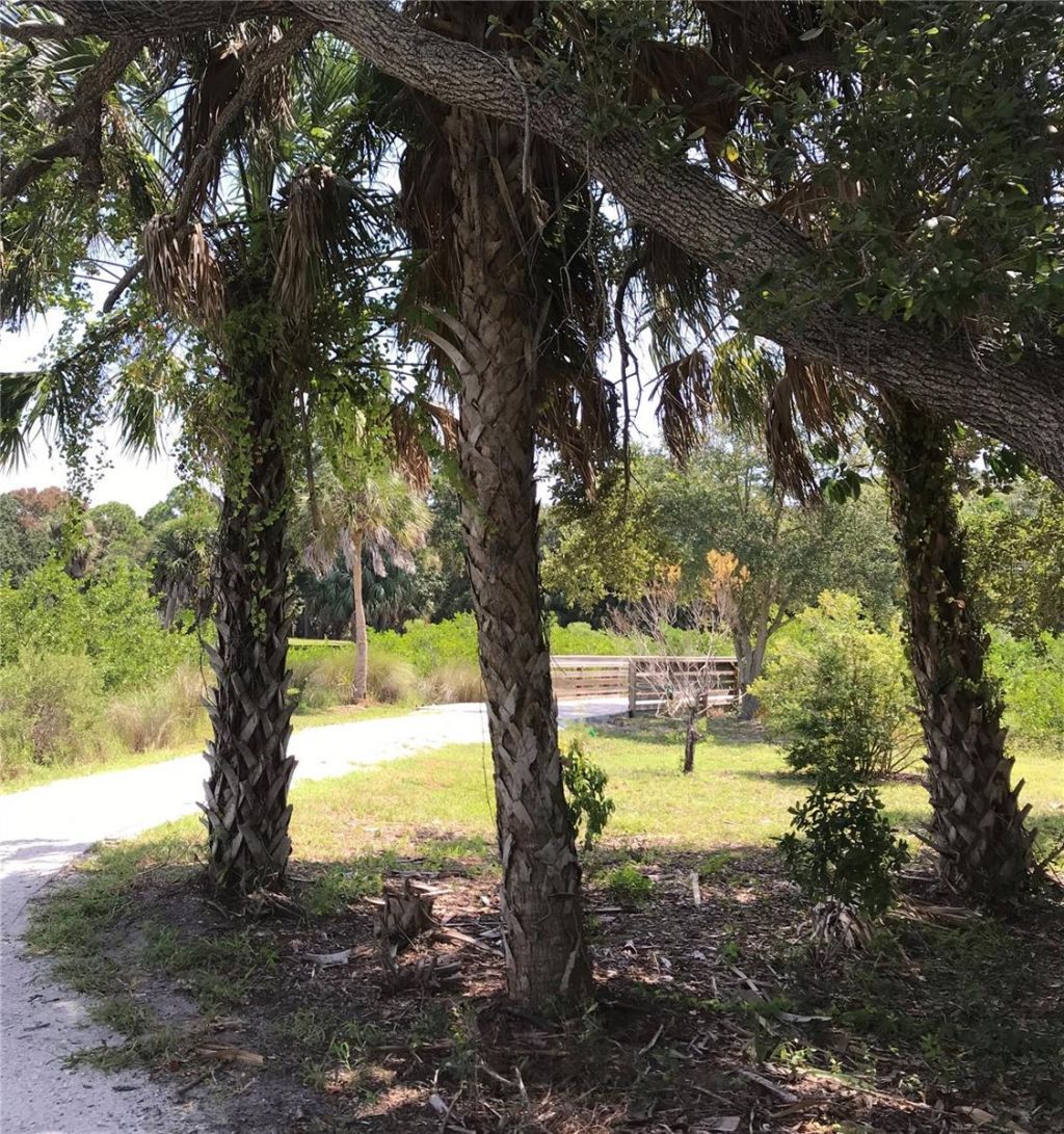 3847 30th Avenue S, Saint Petersburg, FL 33711 Photo