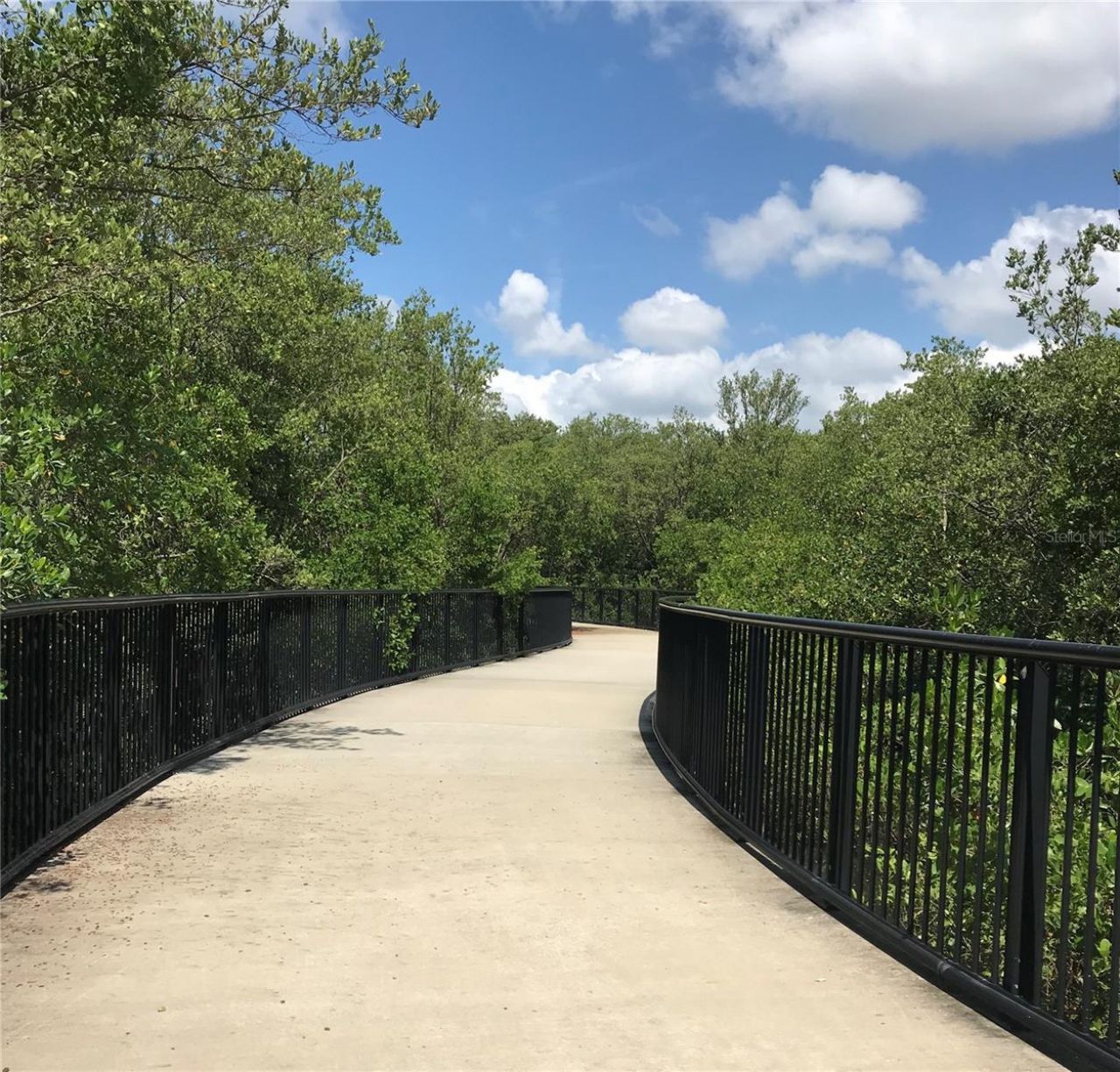 3847 30th Avenue S, Saint Petersburg, FL 33711 Photo