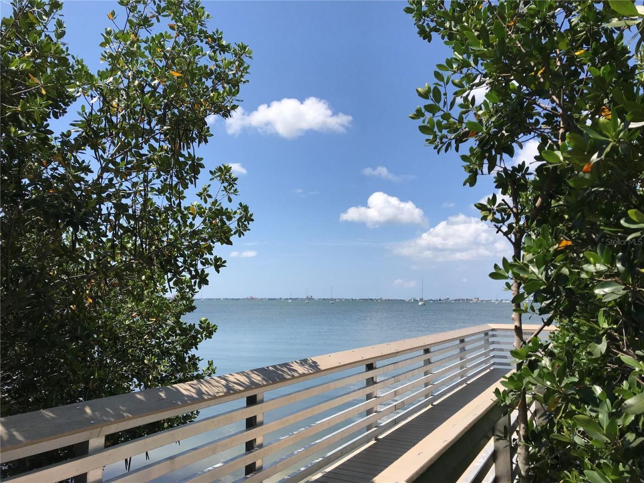 3847 30th Avenue S, Saint Petersburg, FL 33711 Photo