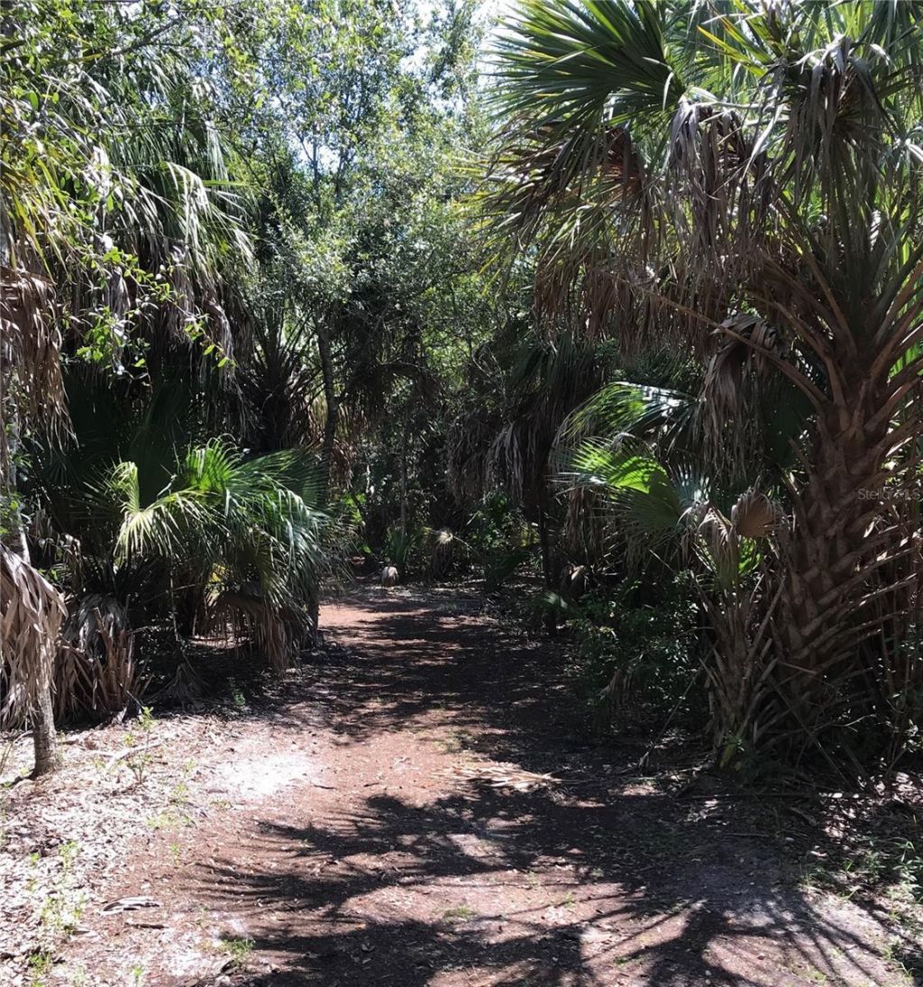 3847 30th Avenue S, Saint Petersburg, FL 33711 Photo