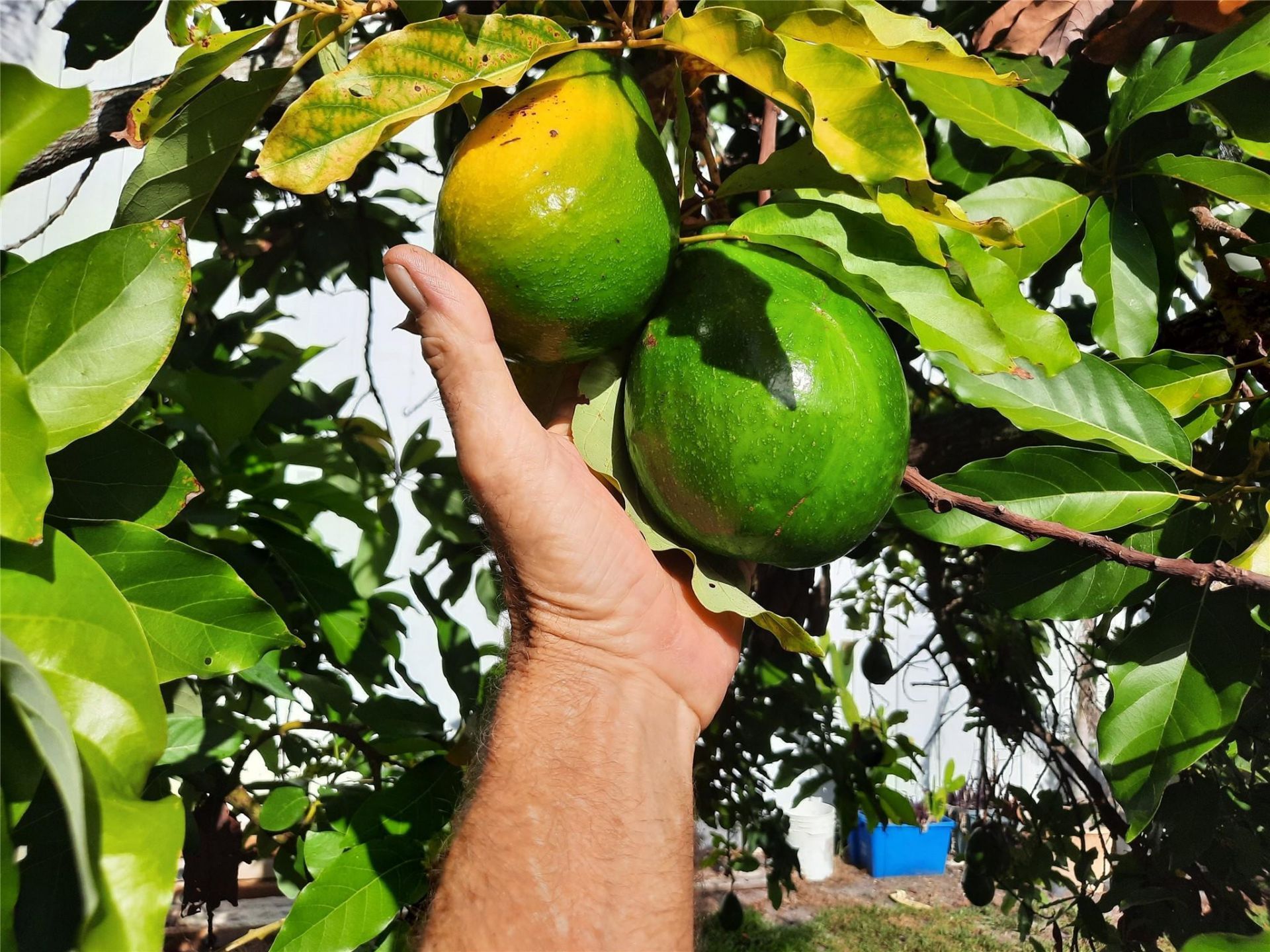 155 31st Ave, Vero Beach, FL 32968 Photo