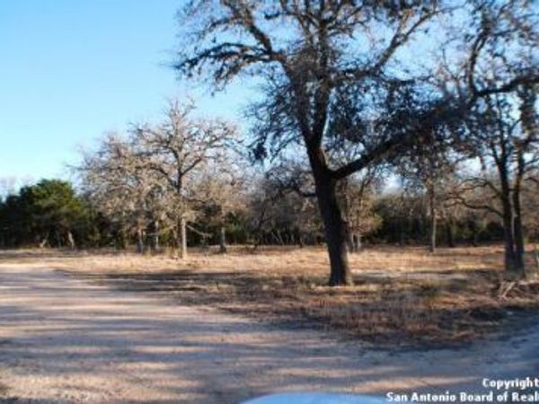 309 Pine Tree Rd, Medina, TX 78055