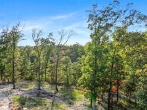 Lot 11 Wilshire Boulevard, Pineville, MO 64856