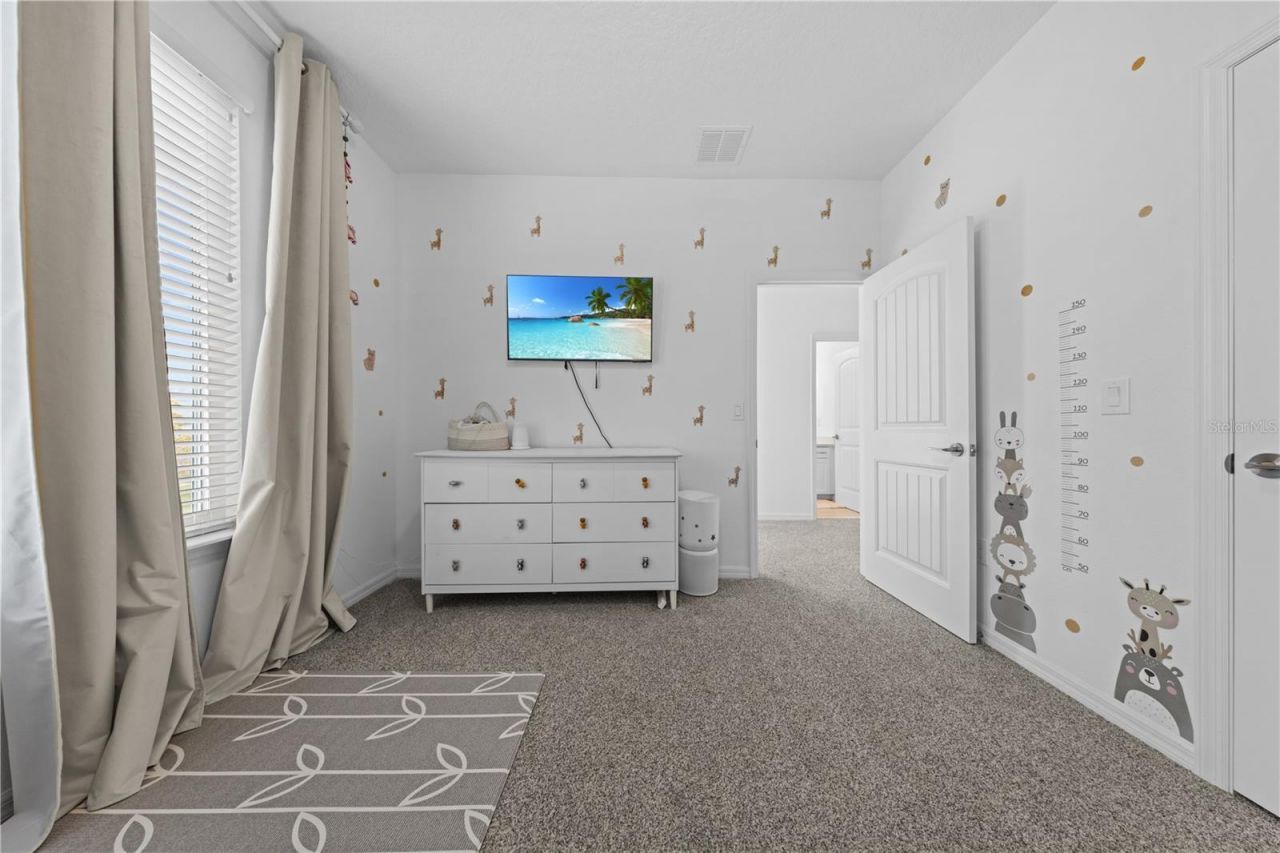 2065 White Feather Loop, Oakland, FL 34787 Photo