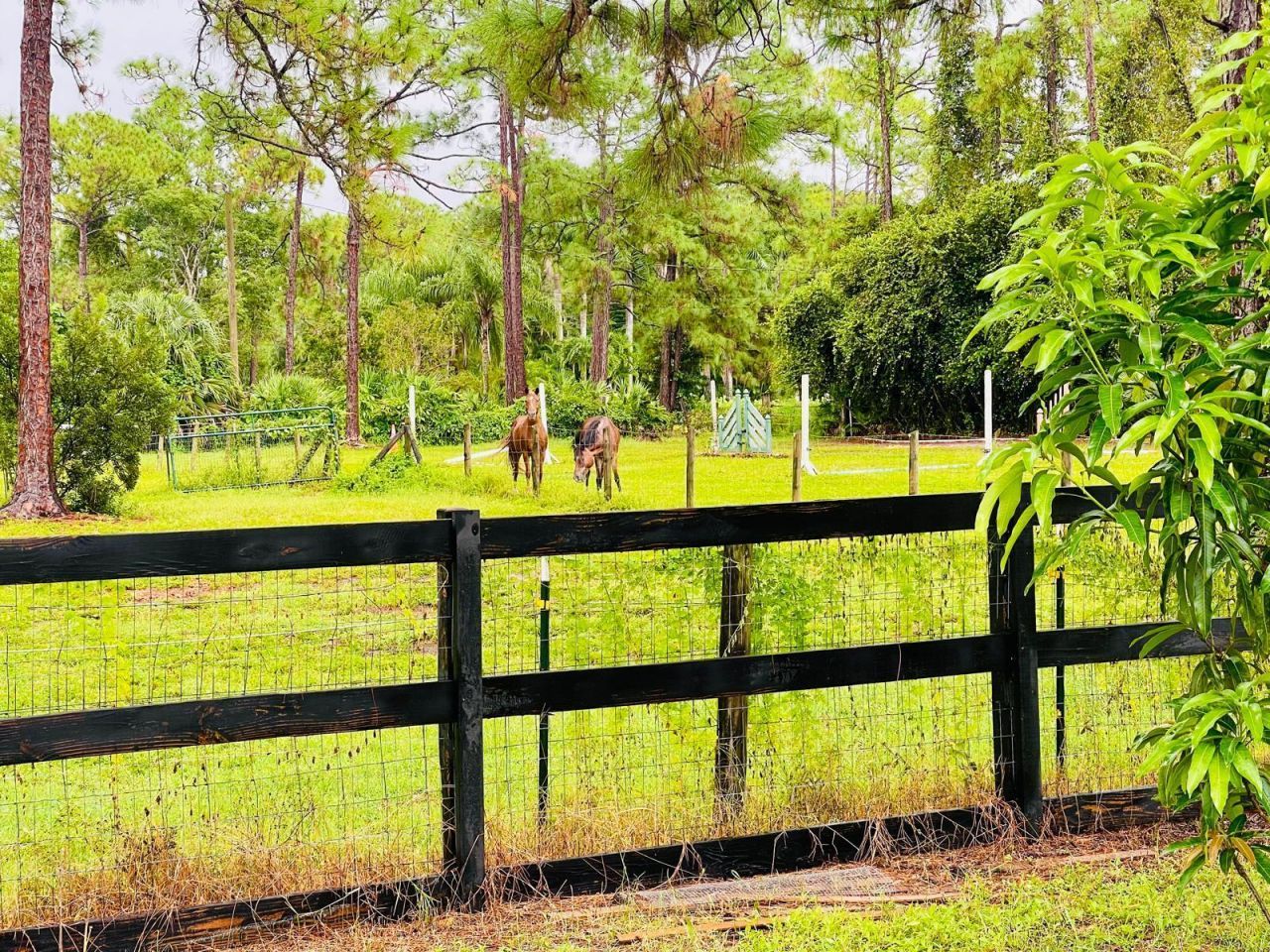 17225 78th Road N, Loxahatchee, FL 33470 Photo