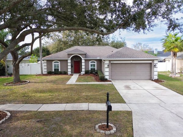 14833 REDCLIFF DRIVE, TAMPA, FL 33625