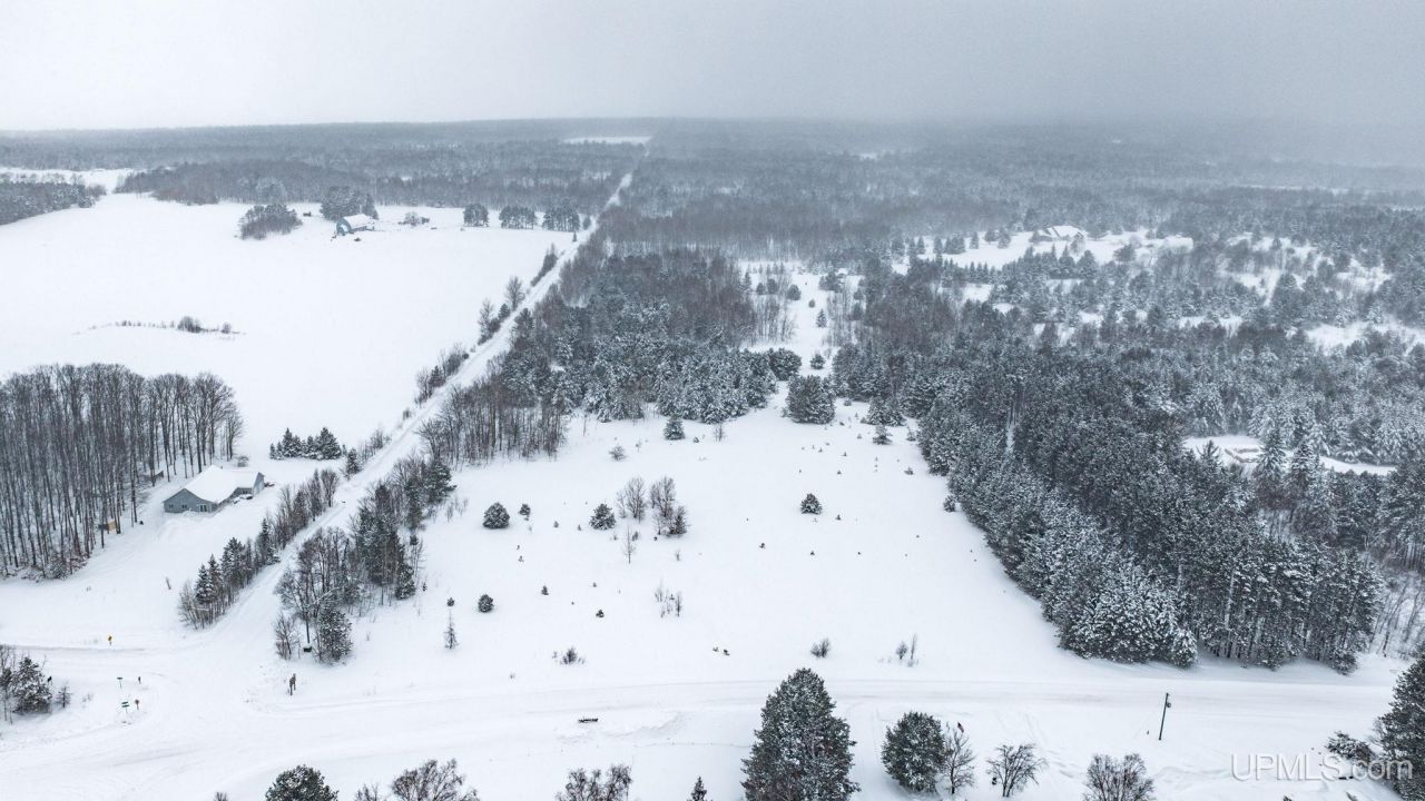 Parcel B Liminga Road, Stanton Twp, MI 49905 Main Photo