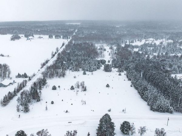 Parcel B Liminga Road, Stanton Twp, MI 49905