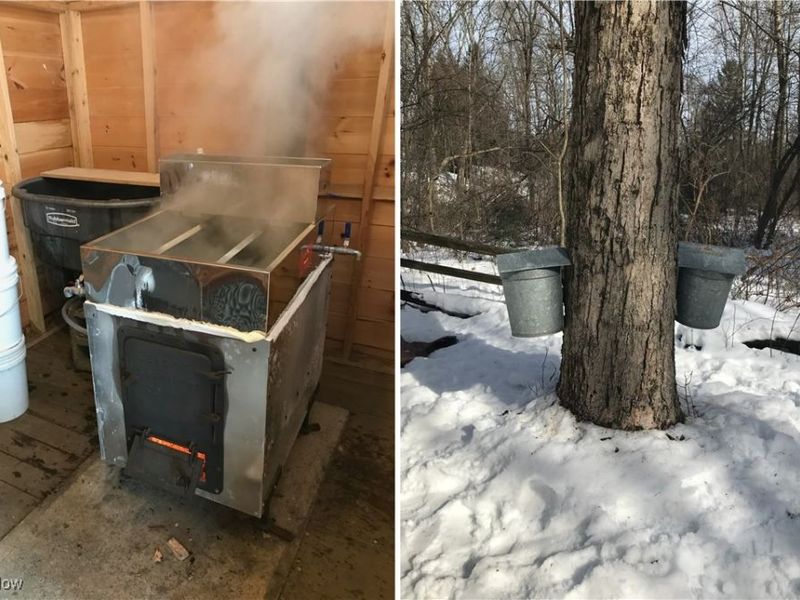 14355 Hartwell Trail, Novelty, OH 44072 Photo 37