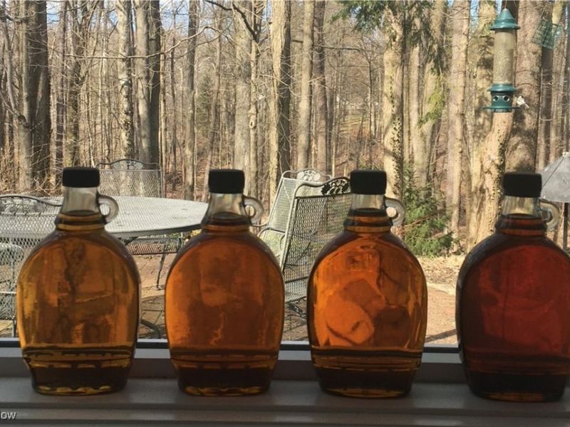 14355 Hartwell Trail, Novelty, OH 44072 Photo 38