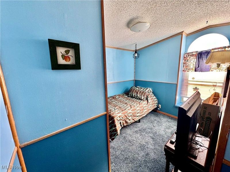 10164 William Henry Drive, Streetsboro, OH 44241 Photo 22