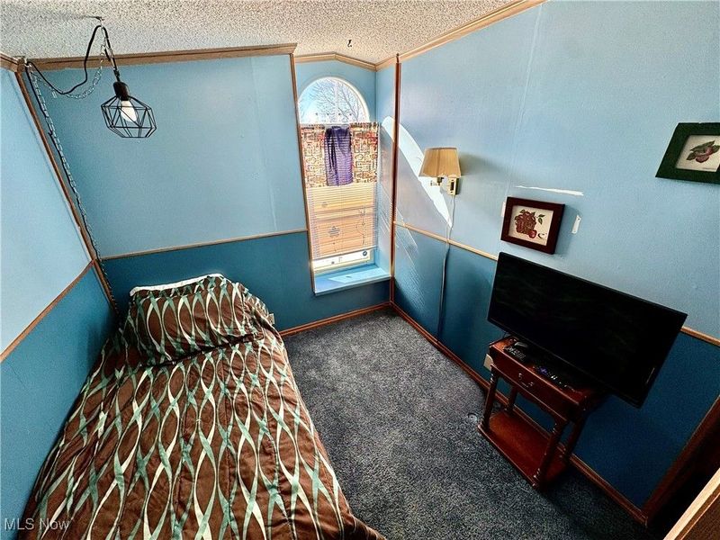 10164 William Henry Drive, Streetsboro, OH 44241 Photo 23