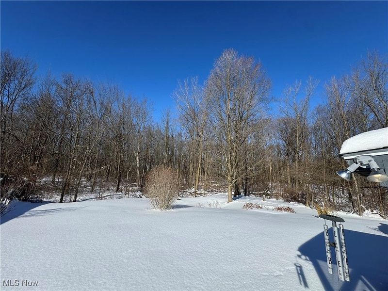 10164 William Henry Drive, Streetsboro, OH 44241 Photo 25