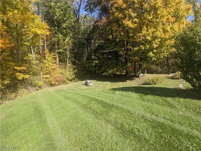 10164 William Henry Drive, Streetsboro, OH 44241 Photo 32