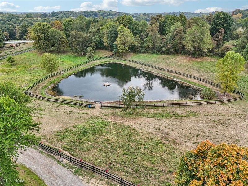 49518 Taylor Road, Negley, OH 44441 Photo 19