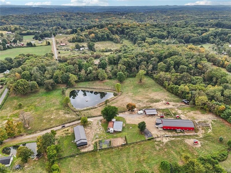 49518 Taylor Road, Negley, OH 44441 Photo 20