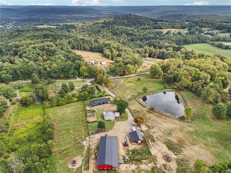 49518 Taylor Road, Negley, OH 44441 Photo 22