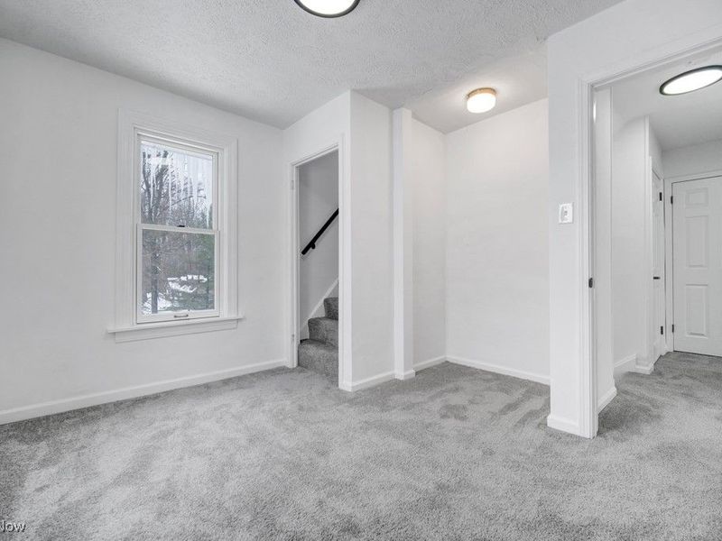 207 Forest Drive, Bedford, OH 44146 Photo 16