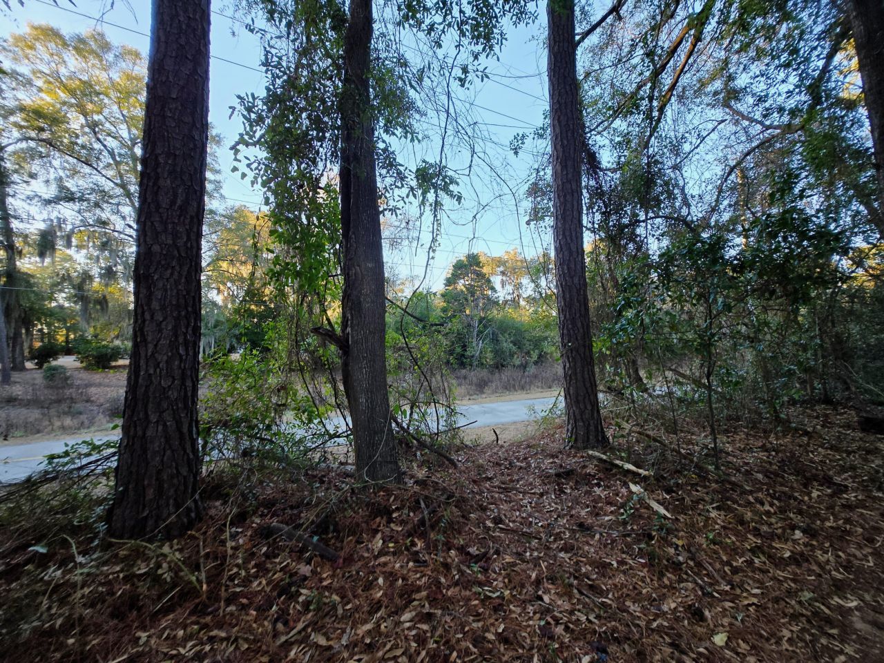 2622 Joshua Circle Photo 27