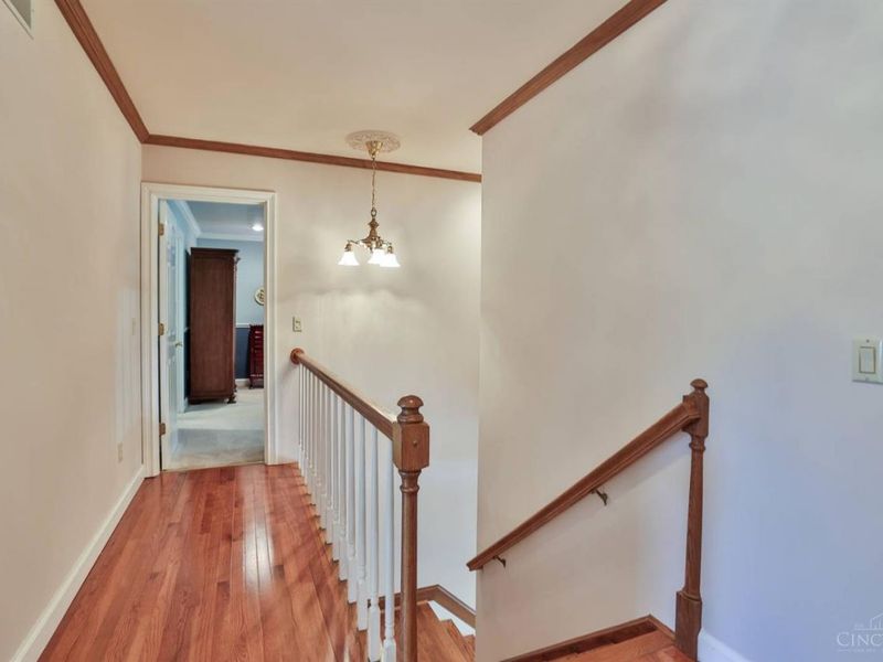 9424 Kemper Grove Lane, Symmes Township, OH 45140 Photo 38